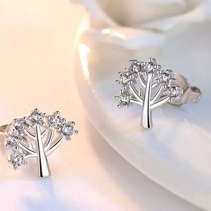 🌳925 Silver Wish Tree Stud Earrings